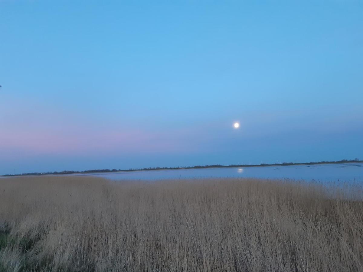 Nordlichthuus * Tönning